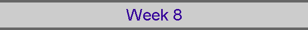 Week 8