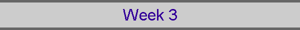 Week 3