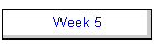 Week 5