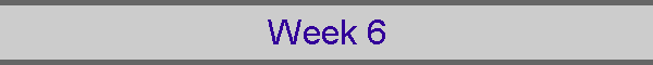 Week 6