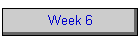 Week 6
