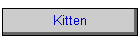Kitten